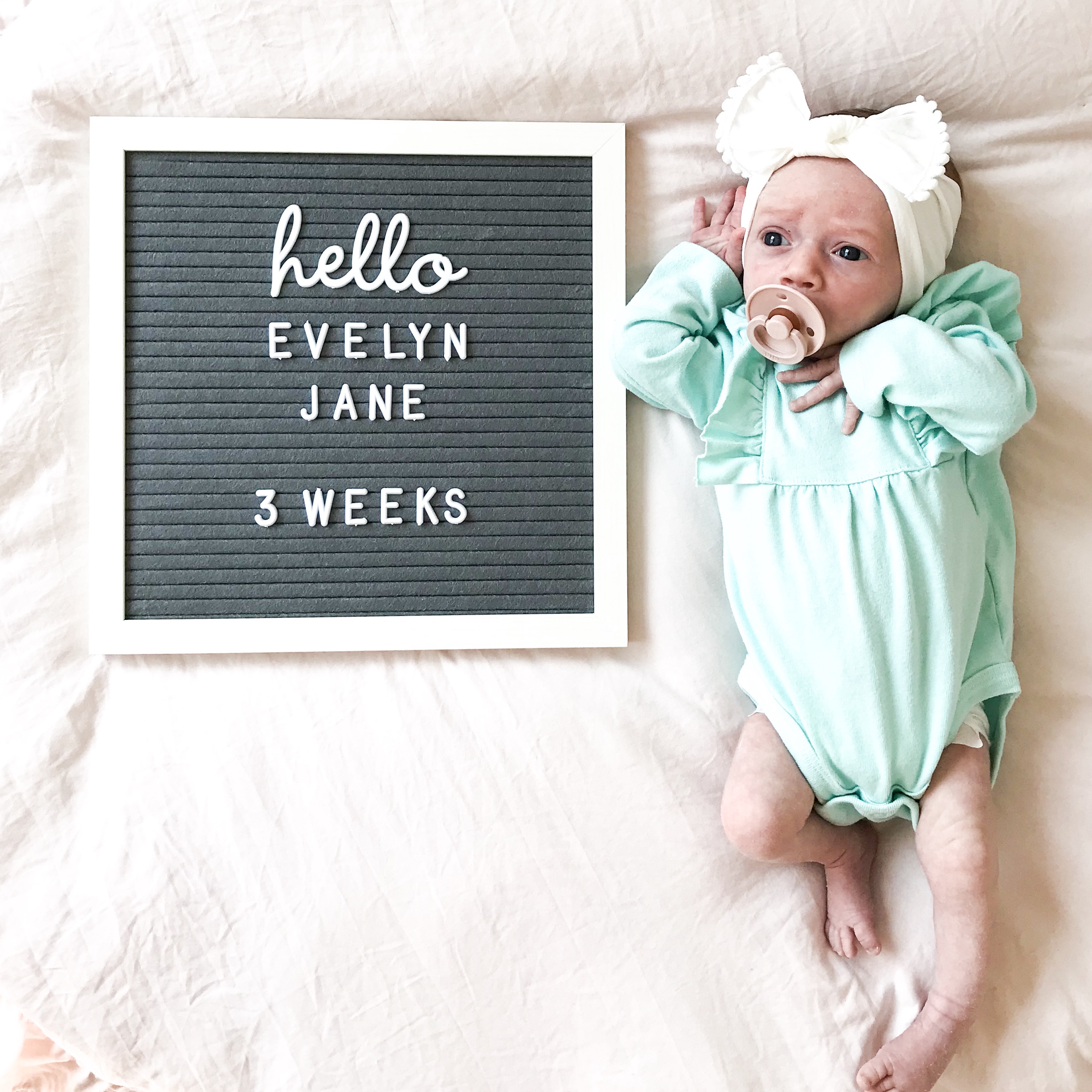 One Month of Evelyn Jane | Red Wine & Sunshine